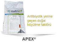 apex doal bytme faktr